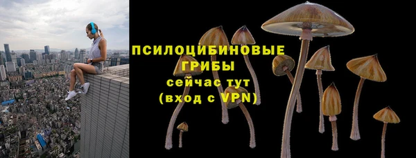 альфа пвп Нягань