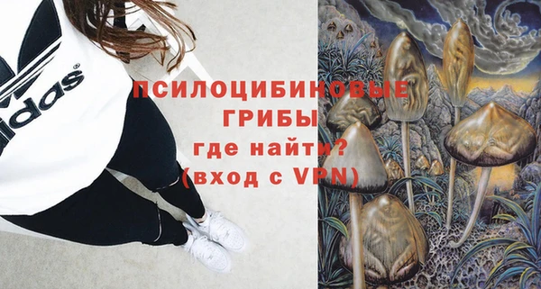 сатива Нязепетровск
