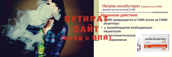 соль ск Новозыбков