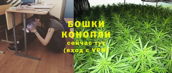 сатива Нязепетровск