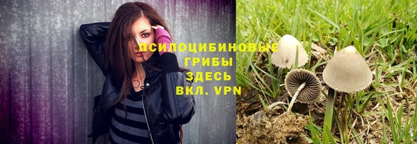 альфа пвп Нягань