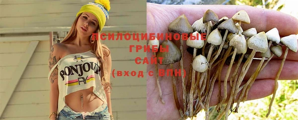 альфа пвп Нягань