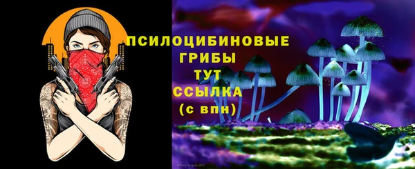 сатива Нязепетровск