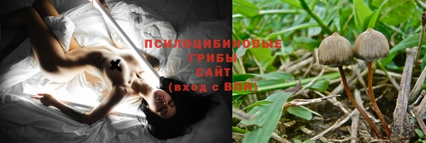 сатива Нязепетровск