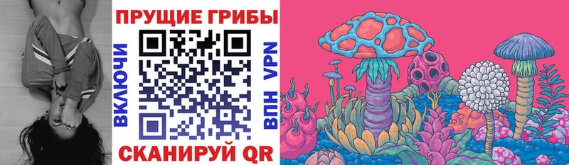 KRAKEN маркетплейс  наркошоп  Асбест  Псилоцибиновые грибы Psilocybe 