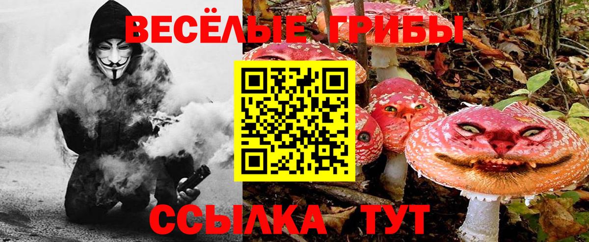 Псилоцибиновые грибы Magic Shrooms Асбест