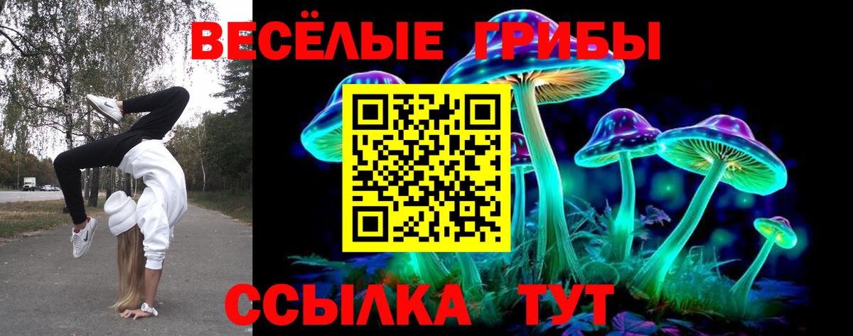 Псилоцибиновые грибы Magic Shrooms Асбест