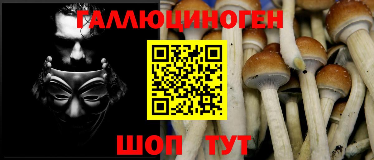 купить   Галлюциногенные грибы прущие грибы  Вход с VPN  Асбест 